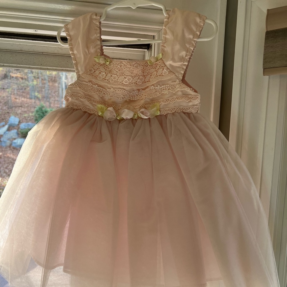 Baby Biscotti Party Dress